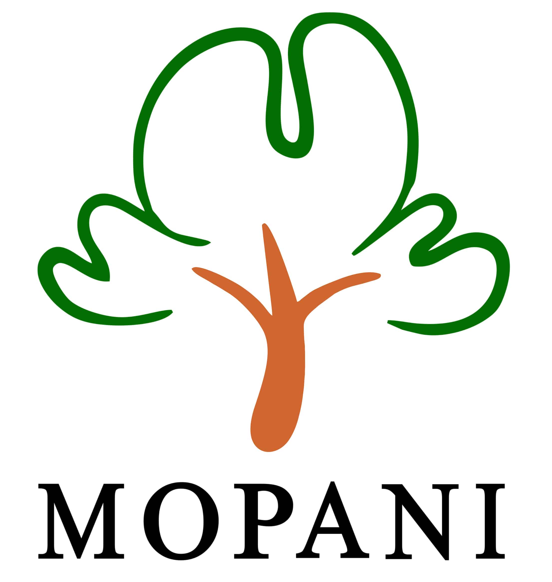 Mopani Copper Mines